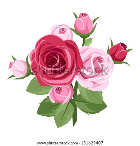 Red and pink roses. Vector illustration.