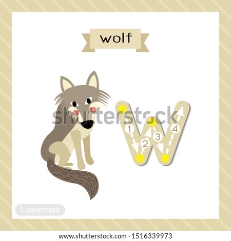 Letter W lowercase cute children colorful zoo and animals ABC alphabet tracing flashcard of Wolf for kids learning English vocabulary and handwriting vector illustration.
