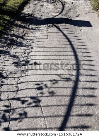 Parallel stripes. The shadow of the fence. Smooth lines intersect with a winding shadow from a climbing plant. Roadside. Abstract geometric pattern. Black and white vibes.
