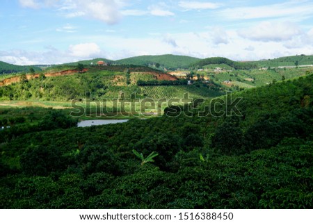 Coffee Plantation indulges into the landscape close to Dalata, VIetnam. Coffee growing all over with the beautiful dark green of the leaves of the coffee trees          