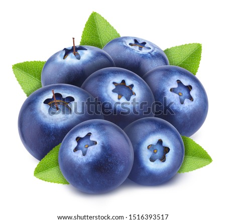 Heap of blueberries with leaves isolated on white background. As design element.