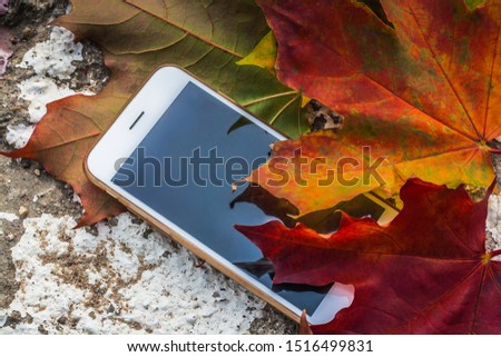 Mobile phone with autumn maple leaf on concrete surface. October and november concept.