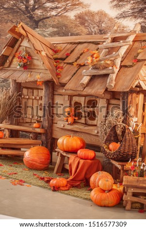fairytale oak house, interior decor, autumn background with pumpkins.