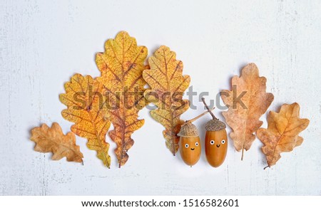 acorns with cute smiling faces and autumn leaves on light-grey background. children's creativity, DIY idea for fall season. two acorns with funny emotion faces. symbol of autum. top view