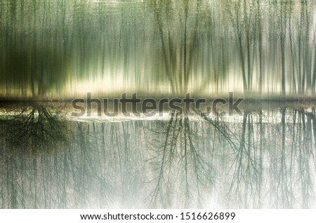 Abstract reflections of trees in the water