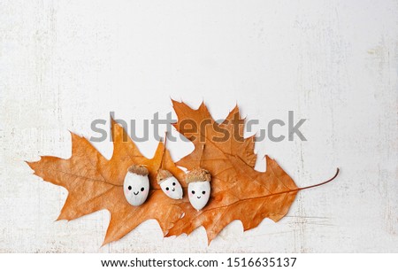 cute smiling Family acorns and oak leaf on white table. acorns with funny emotion faces. children's creativity, DIY idea for fall season. symbol of autum. flat lay