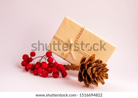 A gift box of soft beige color, tied with a ribbon with a Golden border, stands next to a bunch of dried mountain ash and a pine cone. Autumn still life on a white background.
