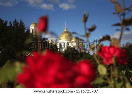 Golden domes of the Church in the background and roses
