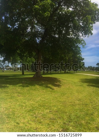 Park scene in Miami, Florida