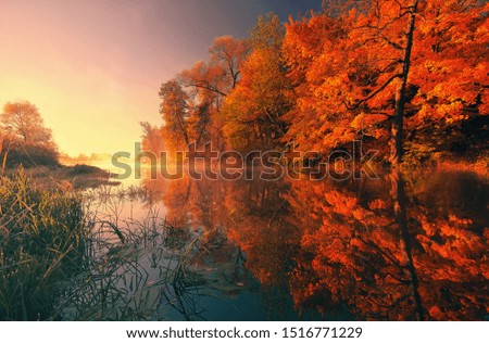 River in autumn with beautiful trees along the banks
