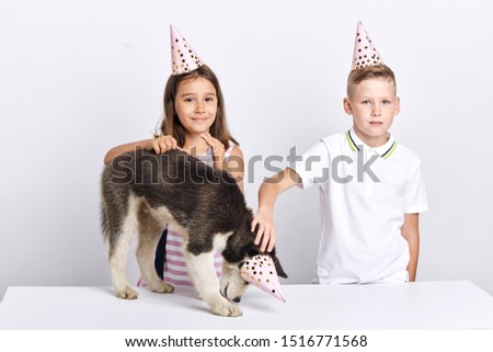 good looking children spending holiday with a huski, close up photo. isolated white background, studio shot