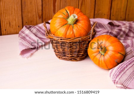 Autumn background with pumpkins in basket on wood background, copy space. Happy Thanksgiving Day Background. Halloween pumpkin. Pumpkin for autumn Harvest Festival. Autumn scene. Organic vegetables.