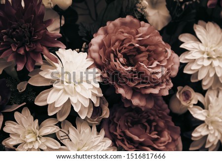 Flowers in the garden, landscape and nature Royalty-Free Stock Photo #1516817666