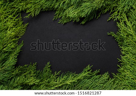 Christmas green frame from fir branches on a black board background. Frame of fir branches. Christmas card blank.