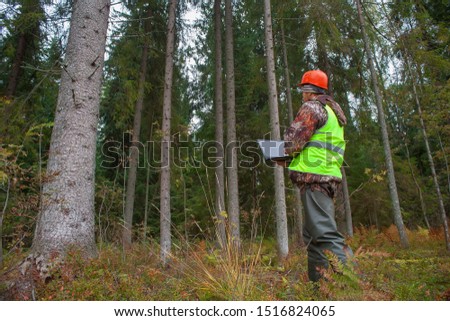 A forest engineer works in a forest with a computer. A man makes a computer taxation of a forest. Forest industry and digital technology.