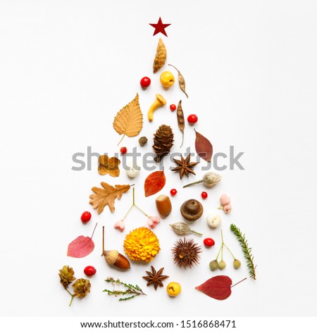 Creative image of handmade Christmas tree made of wild berries, dry leaves and flowers, anise, nuts, mushroom, spiny chestnut, cones, twigs on white background. New Year concept. Flat lay. Square crop