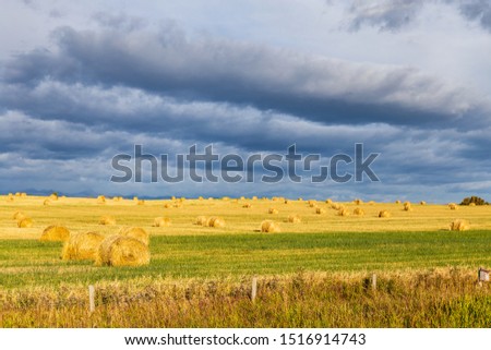 Beautiful hay bales in the fall with amazing gravity wave clouds as a skycape.  Royalty-Free Stock Photo #1516914743