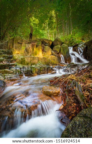 A gorgeous waterfall cascading through the rocks in a forest