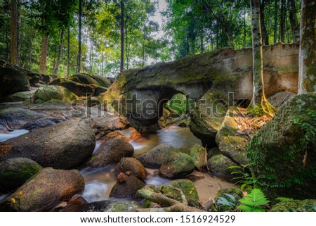 A gorgeous waterfall cascading through the rocks in a forest