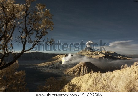 Bromo mountain with branch tree and plants foreground. Taken with Infrared modified DSLR at Bromo mountain, Tengger, east Java, Indonesia.