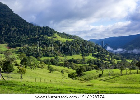 Rich Pasture Carved into a Mountainside  on the Edge of a Lush Rainforest in the Nerang River Valley Royalty-Free Stock Photo #1516928774