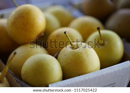 Fresh fruit, Asian pears in small boxes for sale at farm stand market, Nashi pear with stems Royalty-Free Stock Photo #1517025422