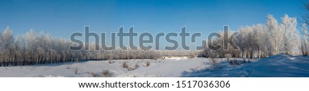 Panoramic photo of winter nature. Image of a ravine with trees bordered in clear Sunny weather.