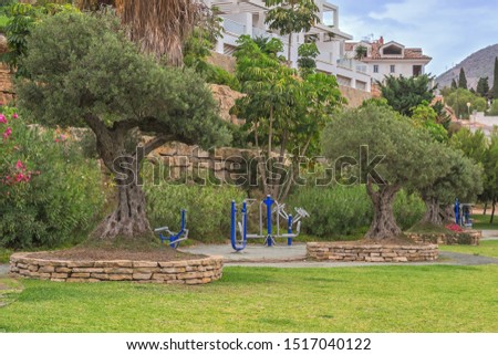 Exercise equipment in the open space with green olive trees against the background of buildings (public park space)