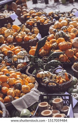 Decorative mini gourds and pumpkins in baskets, on farmers market; autumn background