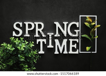 Poster concept. On a dark background the inscription springtime.