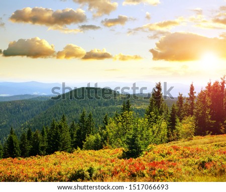 Autumn landscape in National park Bayerischer Wald at sunset, view from the mountain Grosser Arber, Germany. Royalty-Free Stock Photo #1517066693