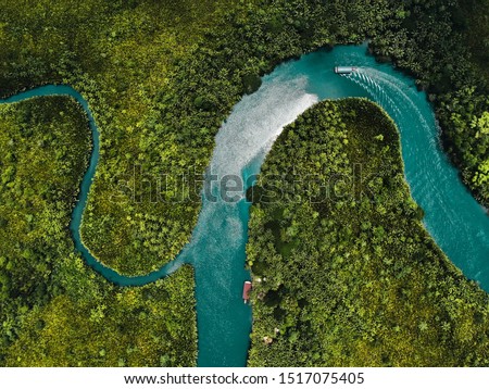 drone aerial birds eye view of a large green grass forest with tall trees and a big blue bendy river flowing through the forest in bohol Island in the Philippines  Royalty-Free Stock Photo #1517075405