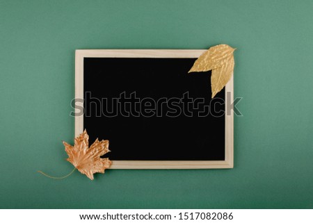 Autumn minimal flat lat, mockup, composition. Black blank frame chalk board and golden silver metallic dry maple leaves on green blue paper background.