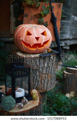 Halloween pumpkin head lantern with eyes and a face on a stump, in a rustic setting against a background of bats and decorative grapes. Creating traditional Halloween and Thanksgiving decorations