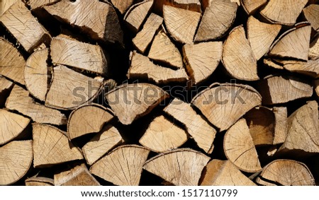 Pile of chopped birch firewood.