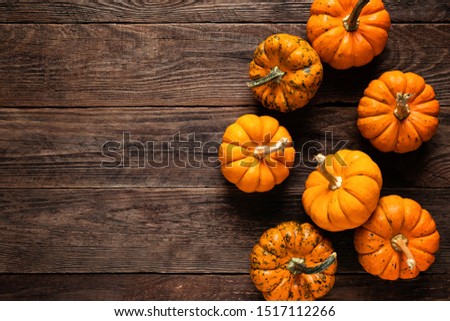 Autumn decorative pumpkins on wooden background. Thanksgiving or halloween holiday, harvest concept. Top view, copy space
