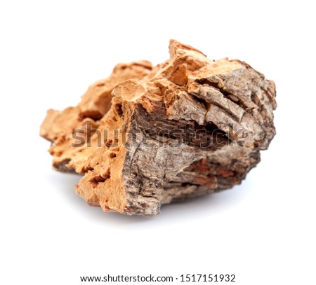 Flora of Gran Canaria - Bark of Quercus suber, commonly called the cork oak, with some of the cork cut off Royalty-Free Stock Photo #1517151932