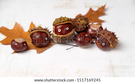 chestnuts with cute faces. creative DIY idea for fall season. chestnuts in form of mysterious living creatures, monsters. symbol of autumn