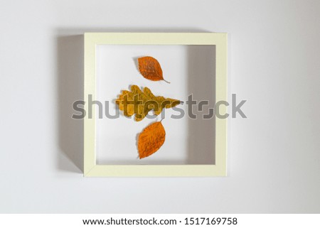 Autumn composition. Dried leaves on white background. Autumn, fall, halloween, thanksgiving day concept. Flat lay, top view, copy space
