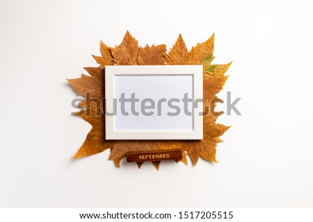 Photo frame, dried leaves on white background. Autumn, fall, concept. Golden autumn. Flat lay.