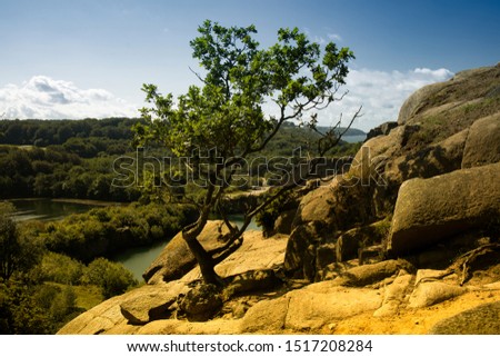 Opalsøen, Lake surrounded by rocks on the island of Bornholm in Denmark, A woman admiring the landscape,tourist dog looking into the lens.A tree on a rock	
