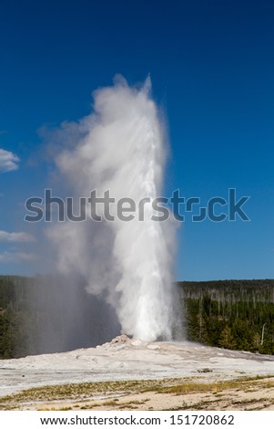 Old Faithful Geyser the iconic geyser in Yellowstone National Parks geothermal areas. Royalty-Free Stock Photo #151720862