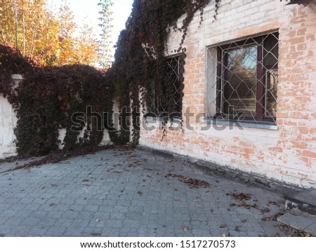 Old street, autumn beautiful background