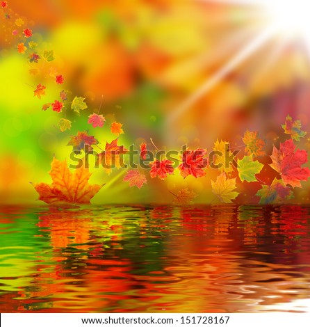 Colorful autumn leaves, autumn background 