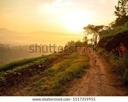 View of mountain trail in foggy during morning sunrise.