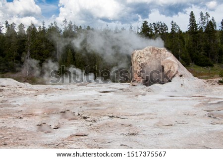 Grotto Geyser, Old Faithful basin in Yellowstone National Park Royalty-Free Stock Photo #1517375567