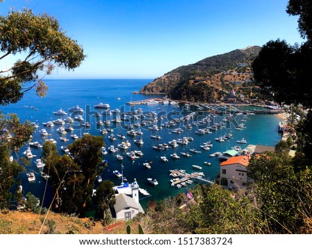 Views of Avalon Harbor from Catalina Chimes Tower and Chimes Tower Road make for both a great activity, as well as an amazing photo opportunity for the professional and amateur photographer alike.