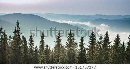 sunrise in the mountains, pine trees at the background Royalty-Free Stock Photo #151739279