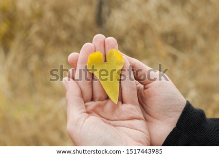Heart shaped leaf in hands. Colorful autumn leaves wallpaper, beautiful nature. Blurred background. Love Valentines card with copy space. Romantic picture.