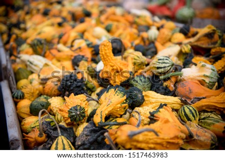 unique gourds are produced in many vibrant colors and unusual shapes. All display wings, many have warts.  A whole bunch of  decorative gourds.  